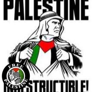 Meet your Posher, Robie